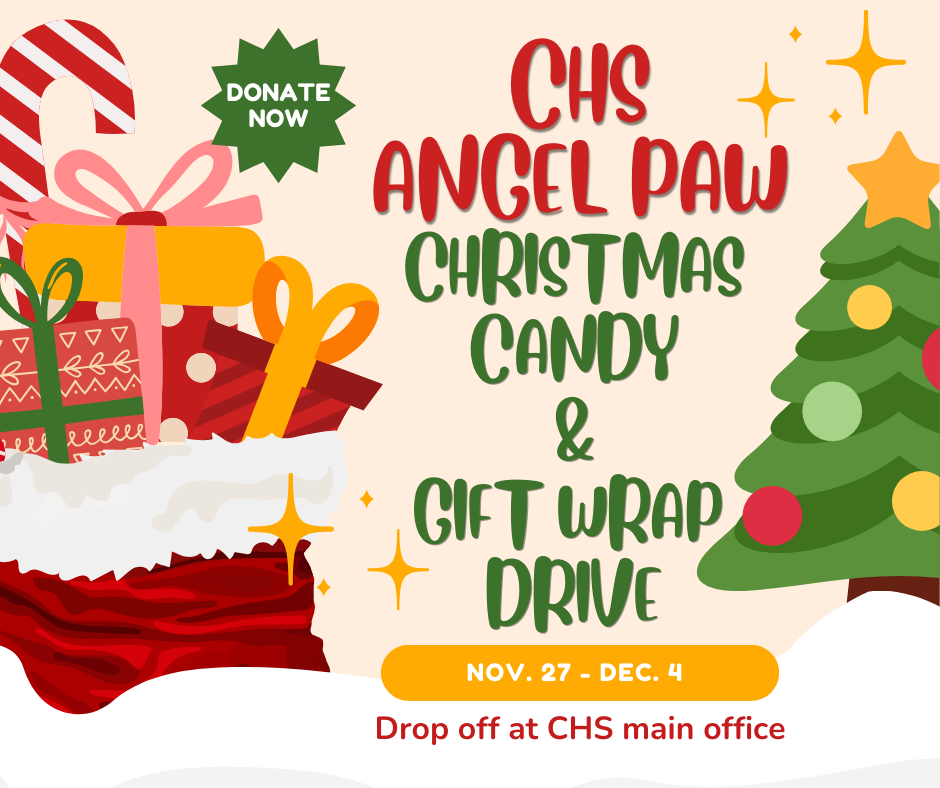 Christmas Wrapping Drive