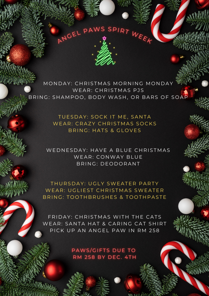 evergreen, red ornaments, white ornaments, candy canes create a border around a calk board. Information in the middle gives the following information: Monday: Christmas Morning Monday Wear: Christmas PJS Bring: shampoo, body wash or bars of soap Tuesday: Sock it to me, Santa: Wear: Crazy Christmas Socks Bring: hats and gloves Wednesday: Have a Blue Christmas: Wear: Conway Blue Bring: deodorant Thursday:Ugly Sweater Party Wear: your ugliest Christmas sweater Bring: toothbrushes and toothpaste Friday: Christmas with the Cats: Wear: a Santa hat Caring Cats shirt