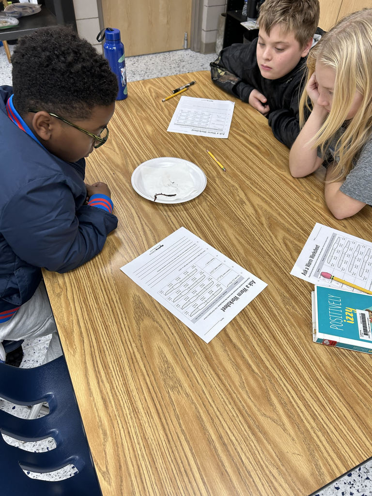 5th grade Science classes have been observing earthworms this week.