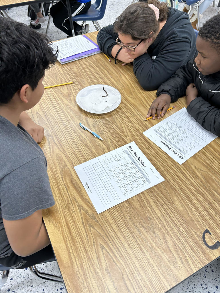 5th grade Science classes have been observing earthworms this week.