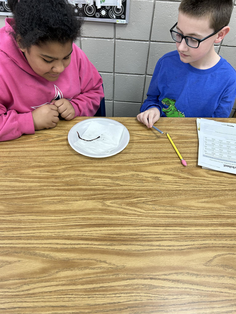 5th grade Science classes have been observing earthworms this week.