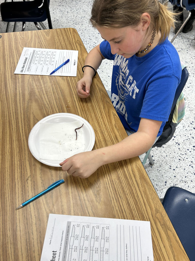 5th grade Science classes have been observing earthworms this week.