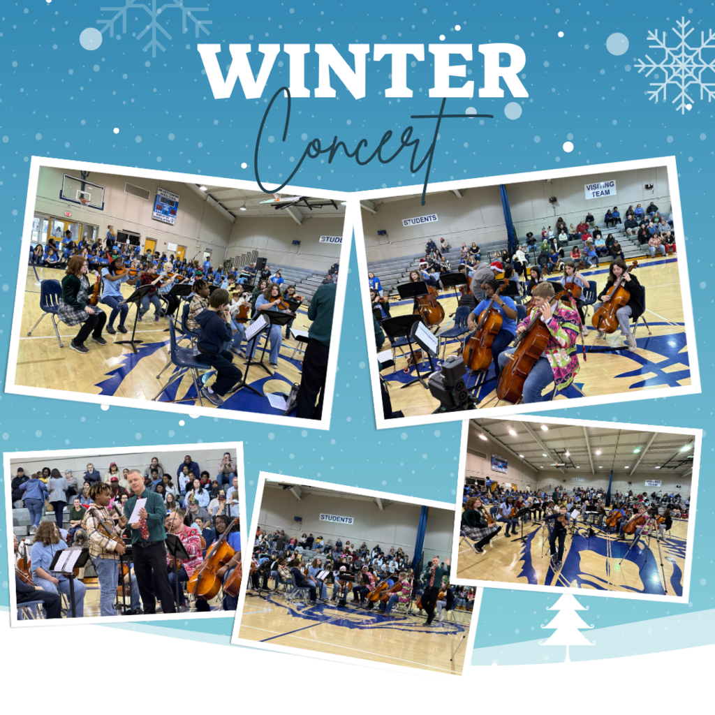 CMS Orchestra performs their winter concert