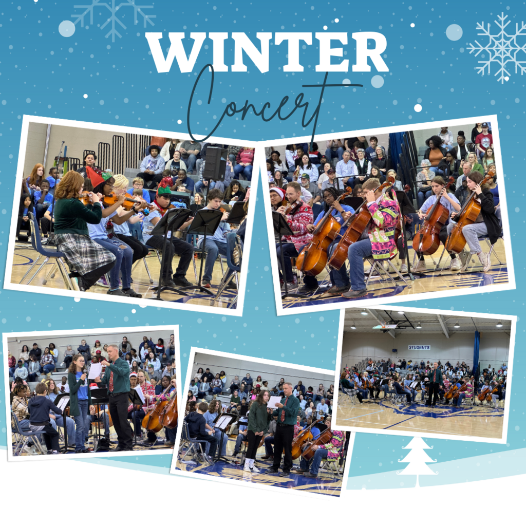 CMS Orchestra performs their winter concert