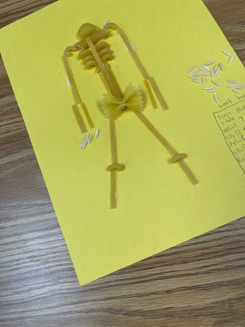 Mrs. Hunter's 5th Period Accelerated Science created skeletons as a wrap-up to our Body Systems projects. Students put their creativity to work as they demonstrated the knowledge they gained about the skeletal system this week.