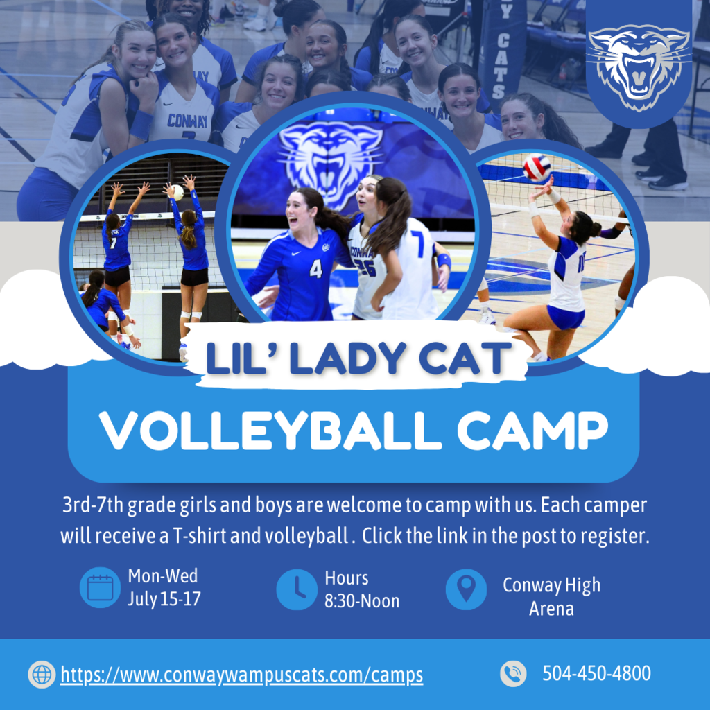 Lil Lady Cat Camp