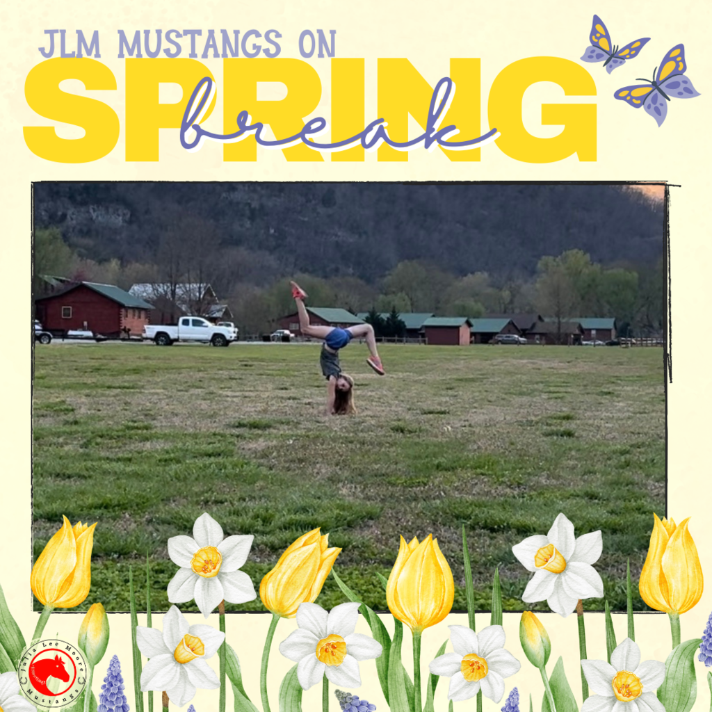 Mustangs on the Move