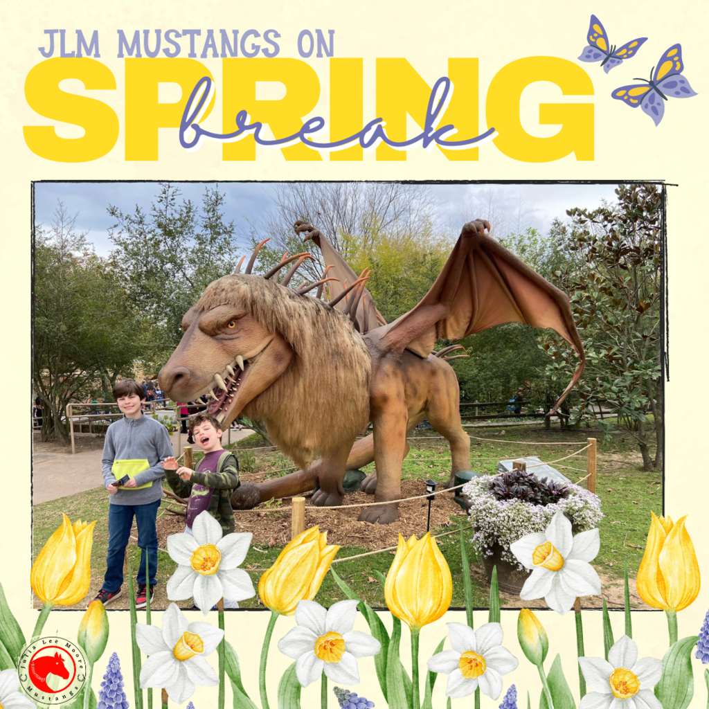 Mustangs on the Move