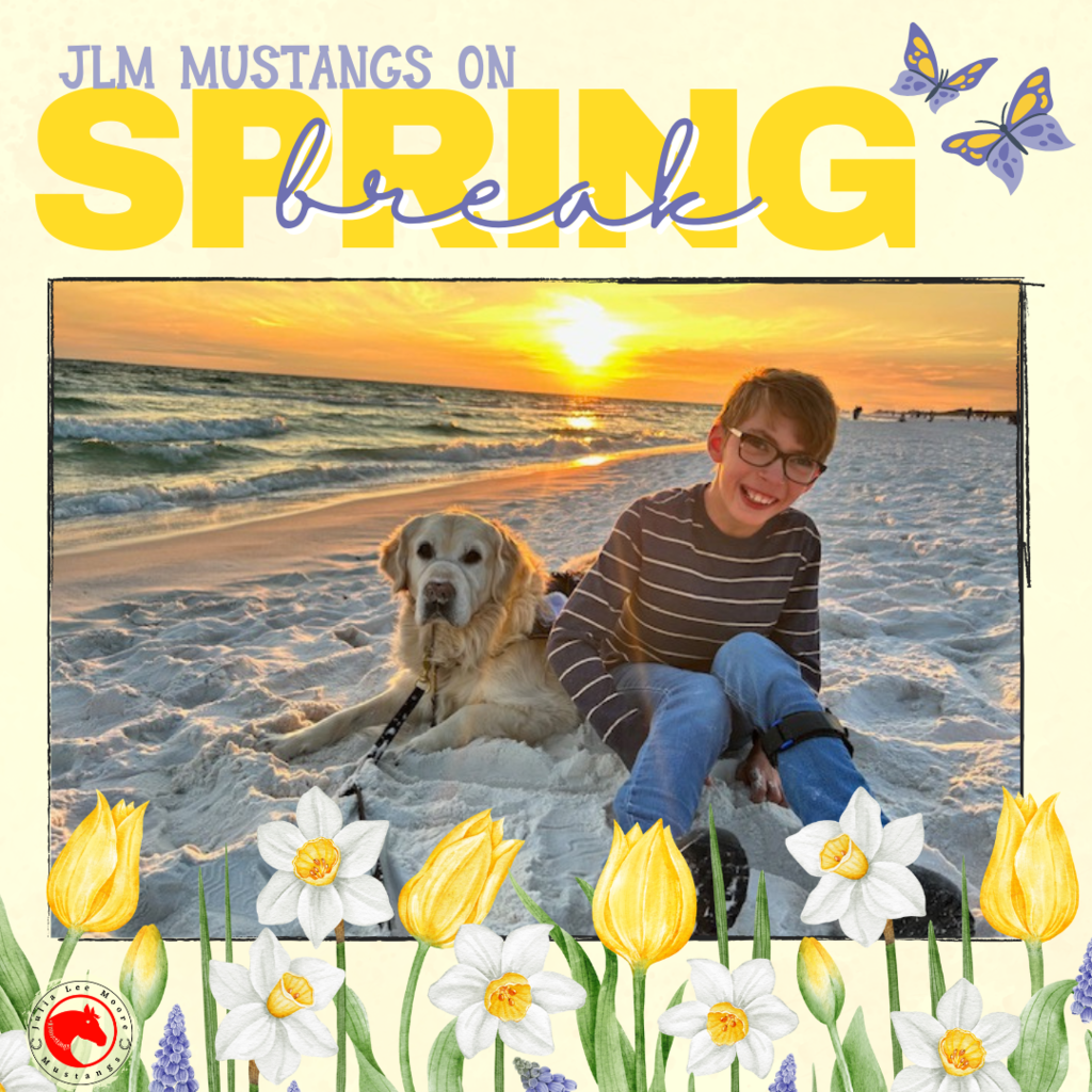 Mustangs on the Move