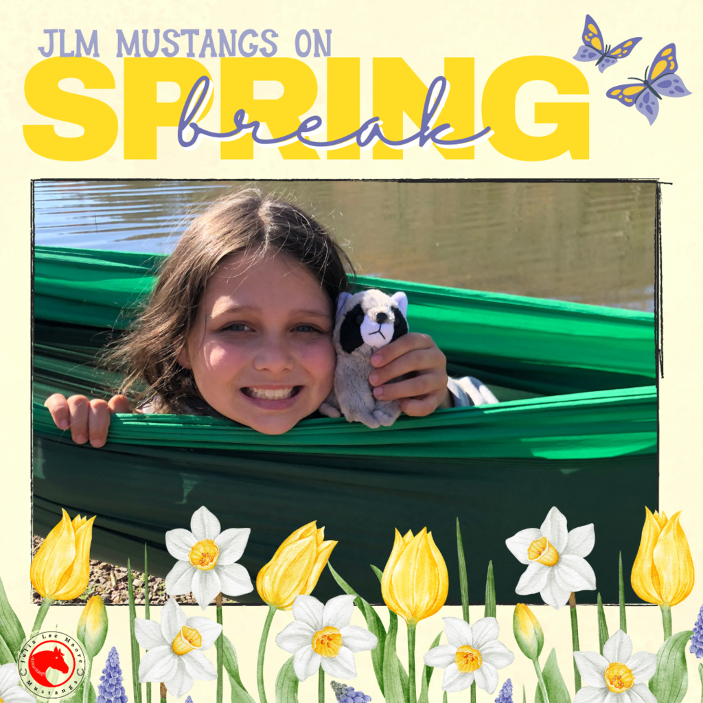 Mustangs on the Move