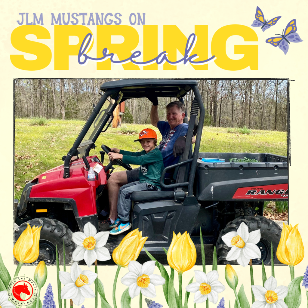 Mustangs on the Move