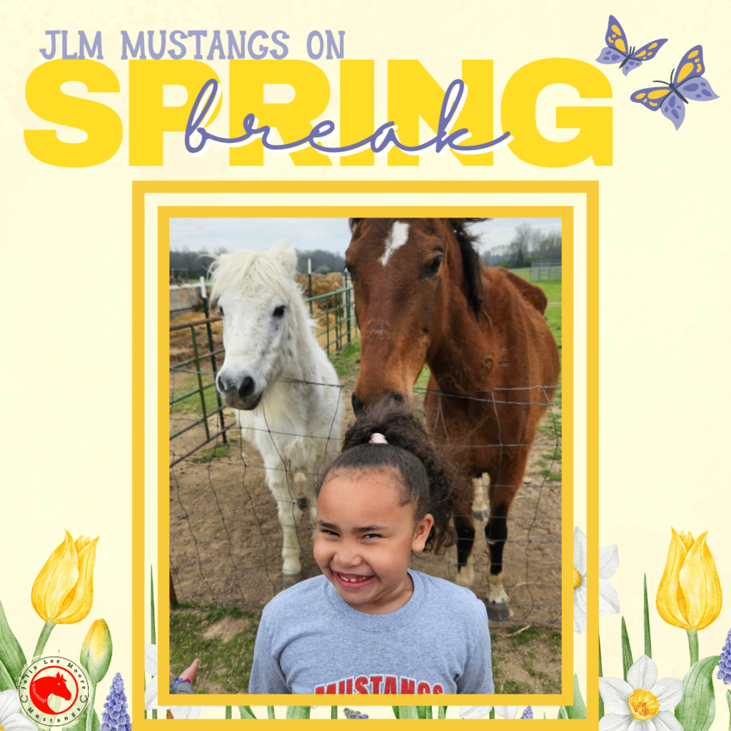 Mustangs on the Move