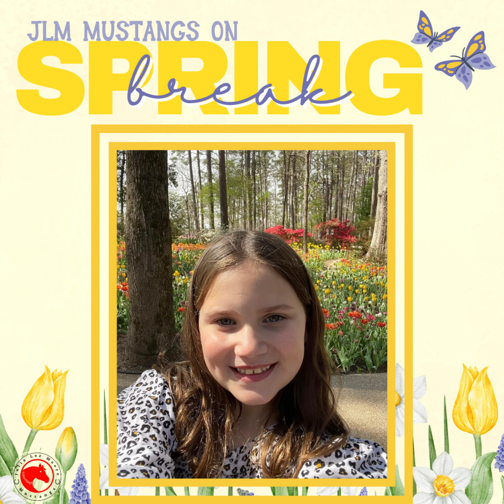 Mustangs on the Move