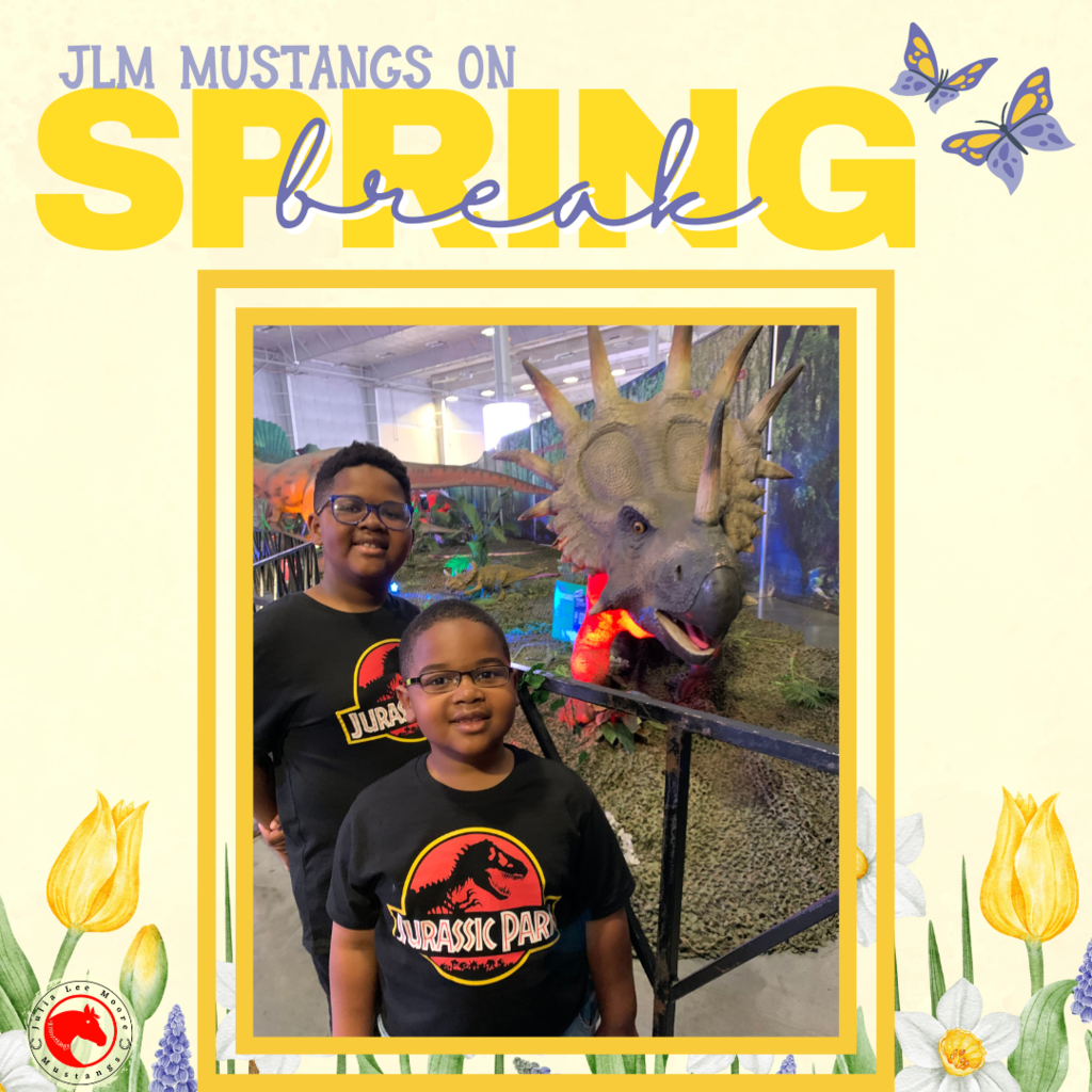 Mustangs on the Move