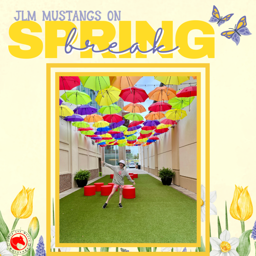 Mustangs on the Move