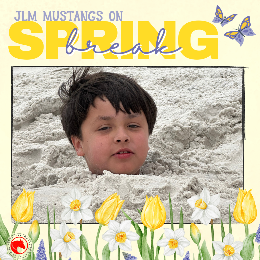 Mustangs on the Move