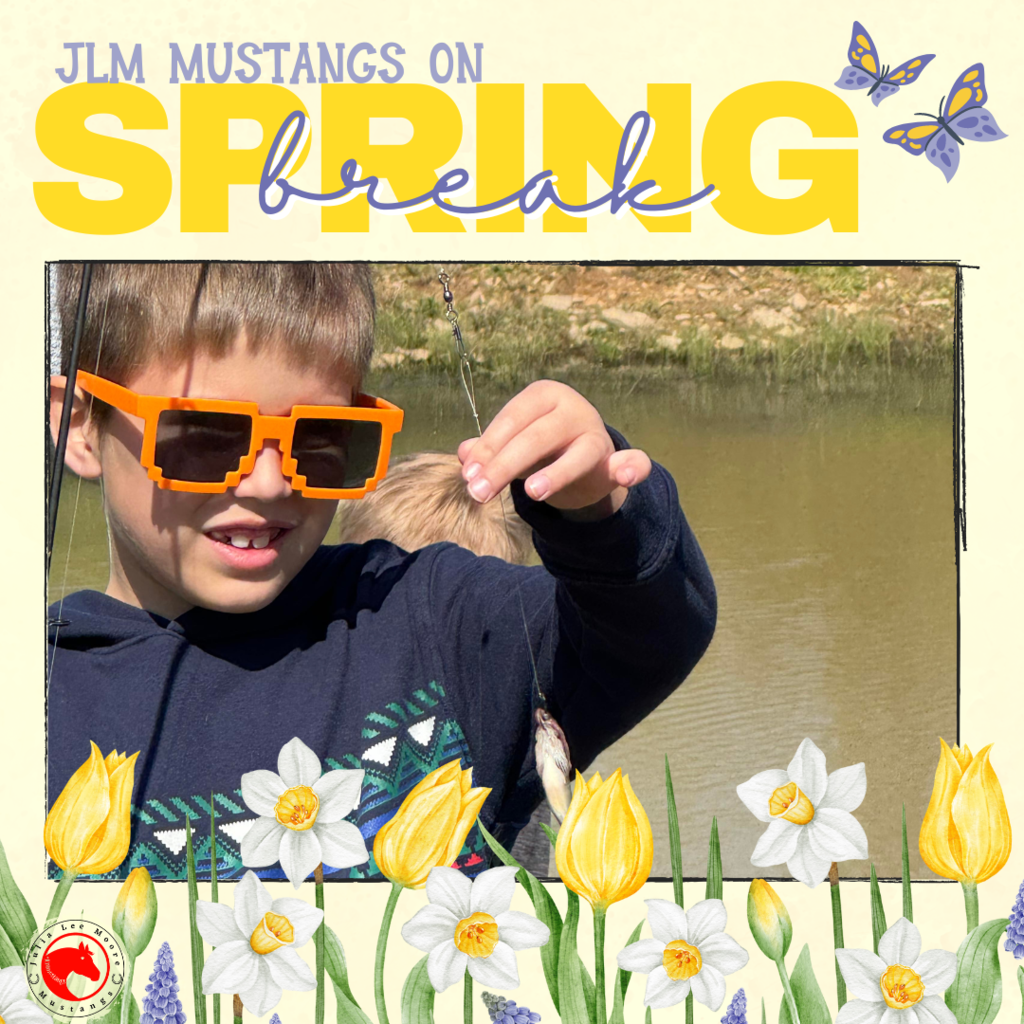 Mustangs on the Move