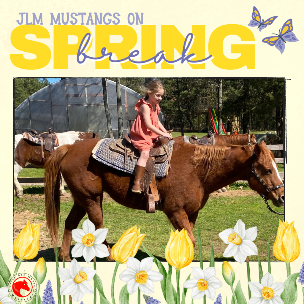 Mustangs on the Move