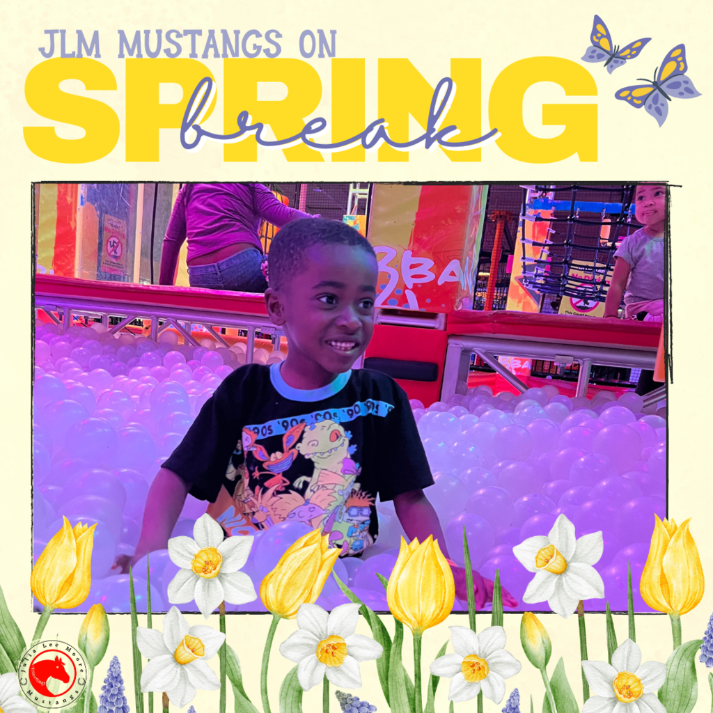 Mustangs on the Move