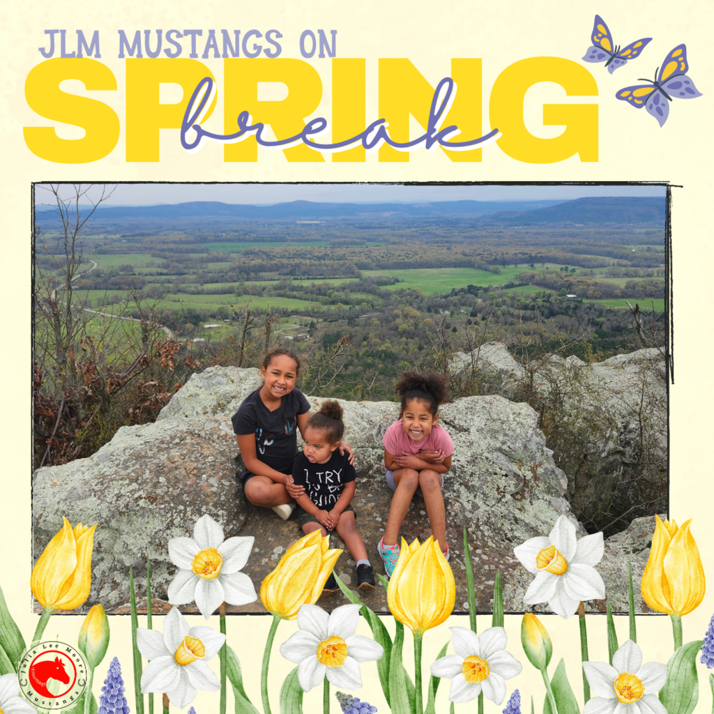 Mustangs on the Move