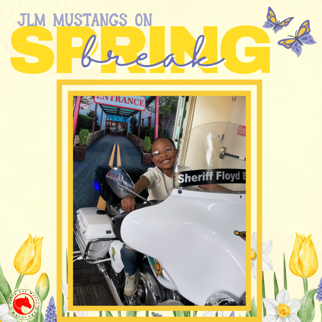 Mustangs on the Move