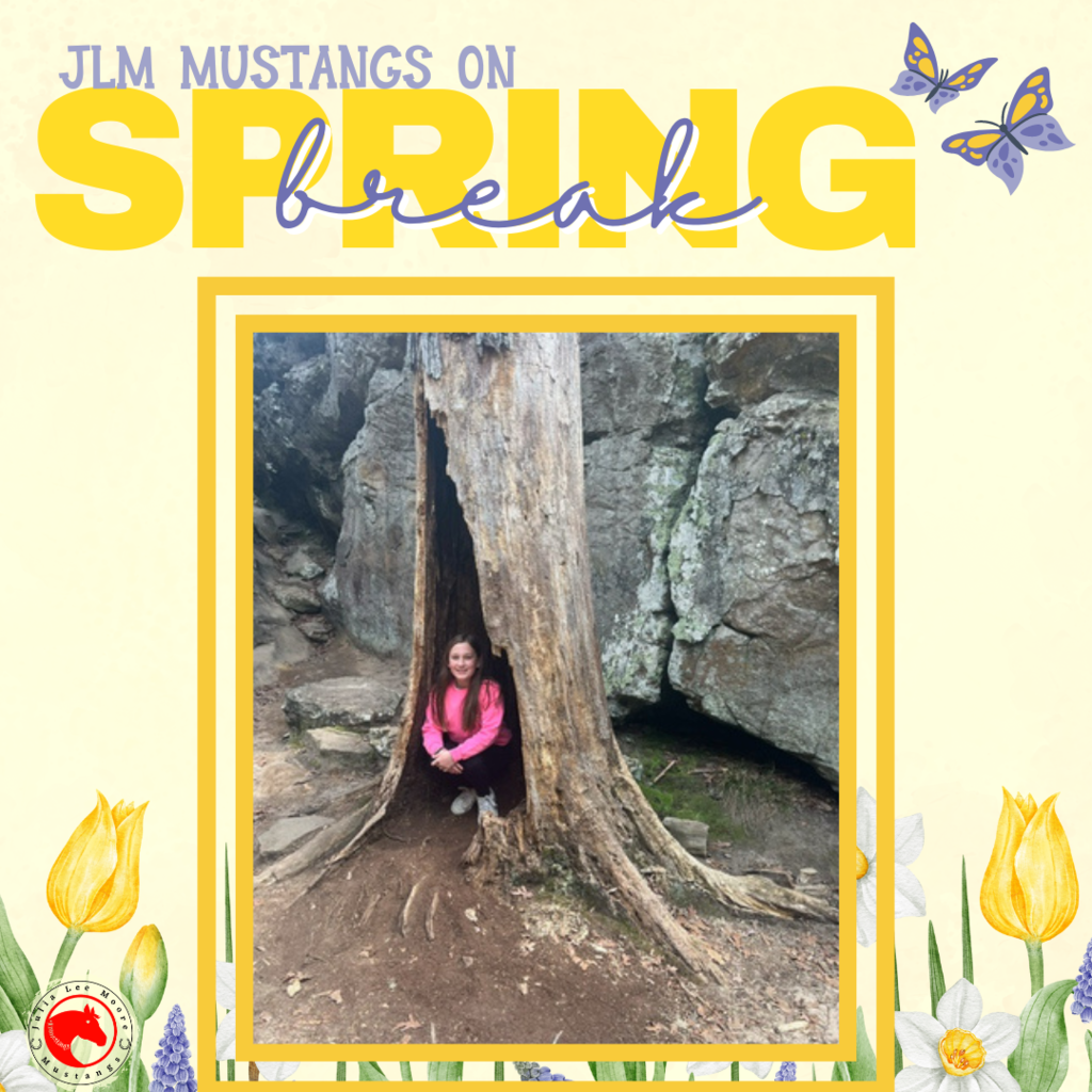 Mustangs on the Move