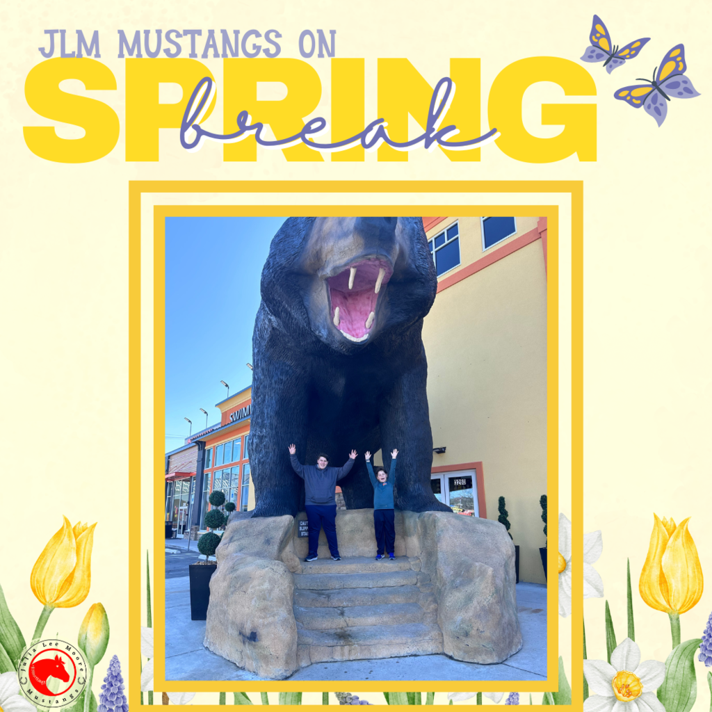 Mustangs on the Move