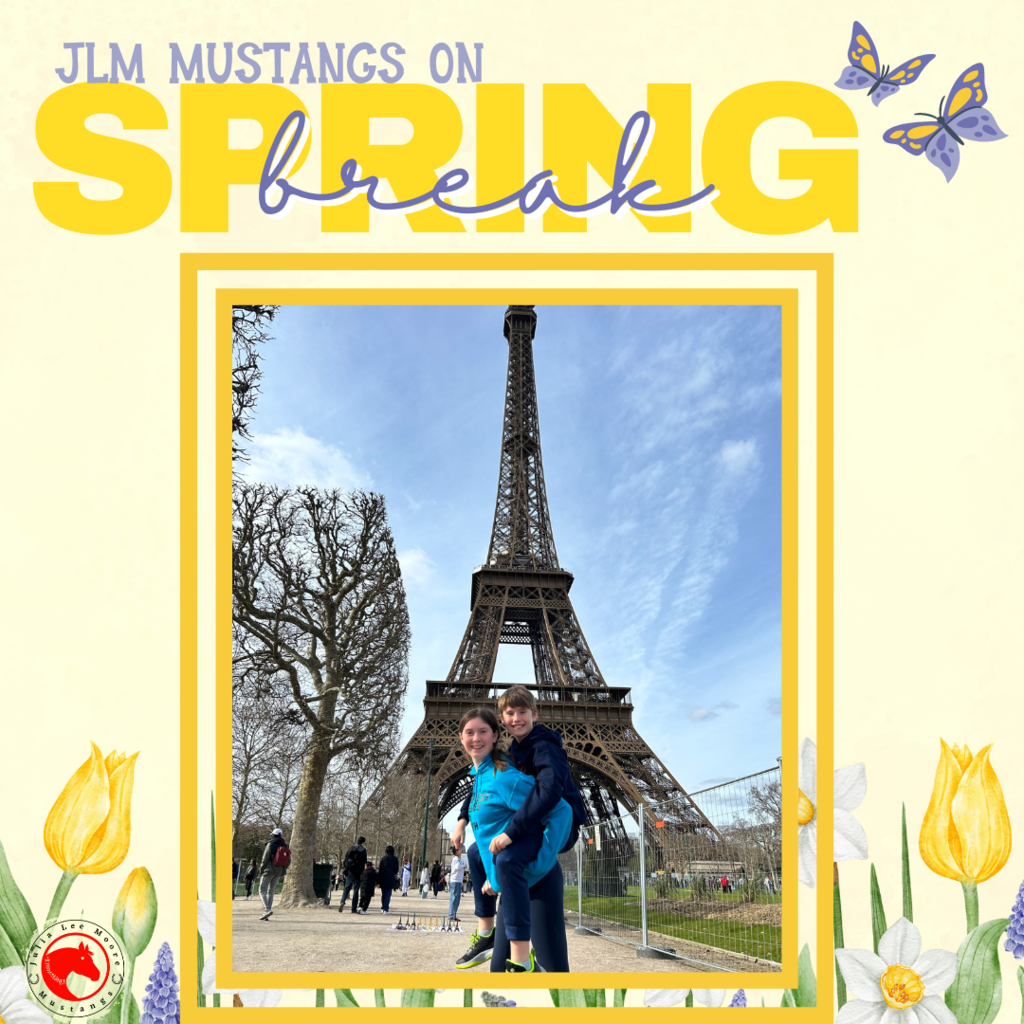 Mustangs on the Move