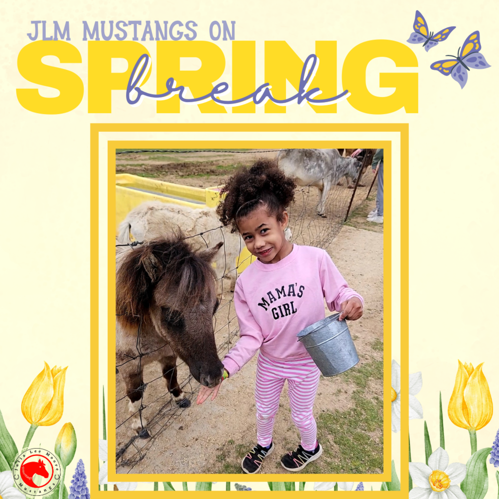 Mustangs on the Move