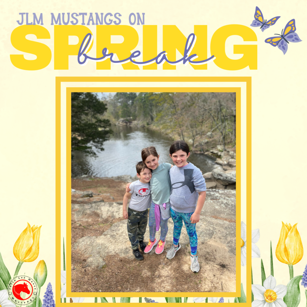 Mustangs on the Move