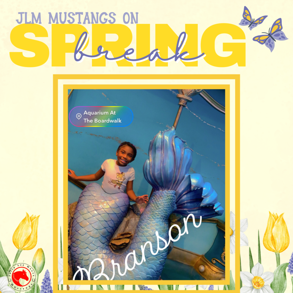 Mustangs on the Move