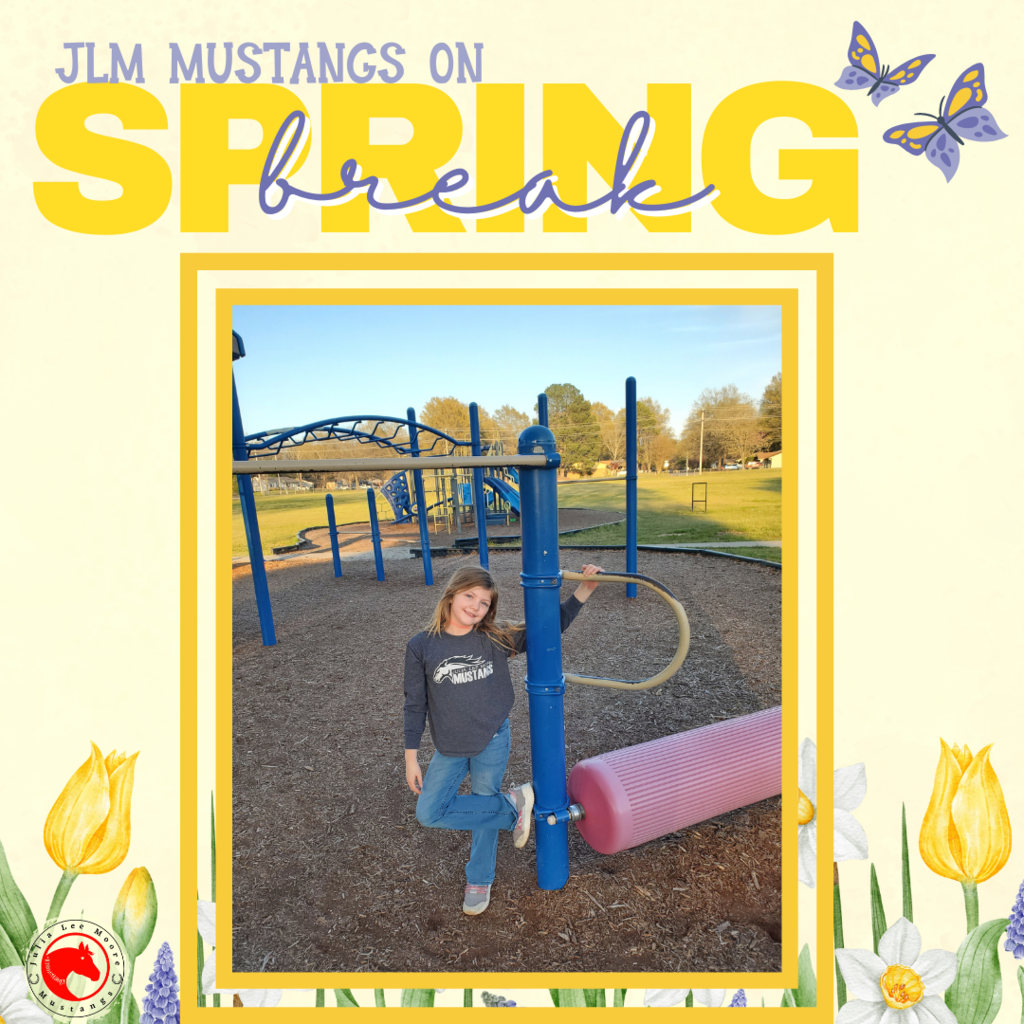 Mustangs on the Move