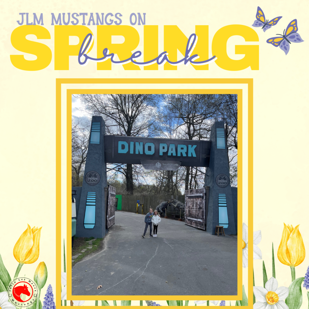 Mustangs on the Move