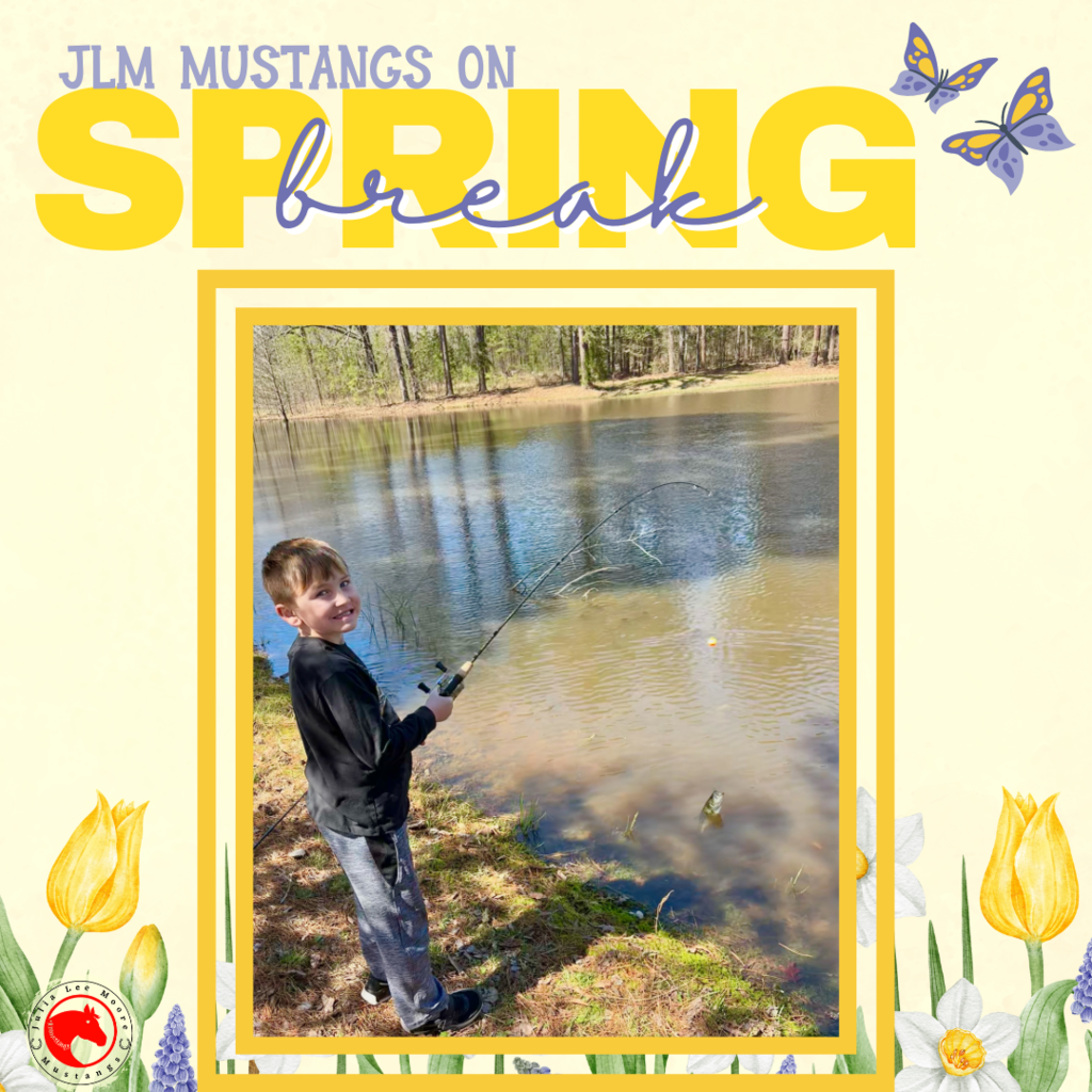 Mustangs on the Move