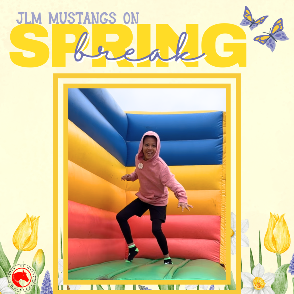 Mustangs on the Move