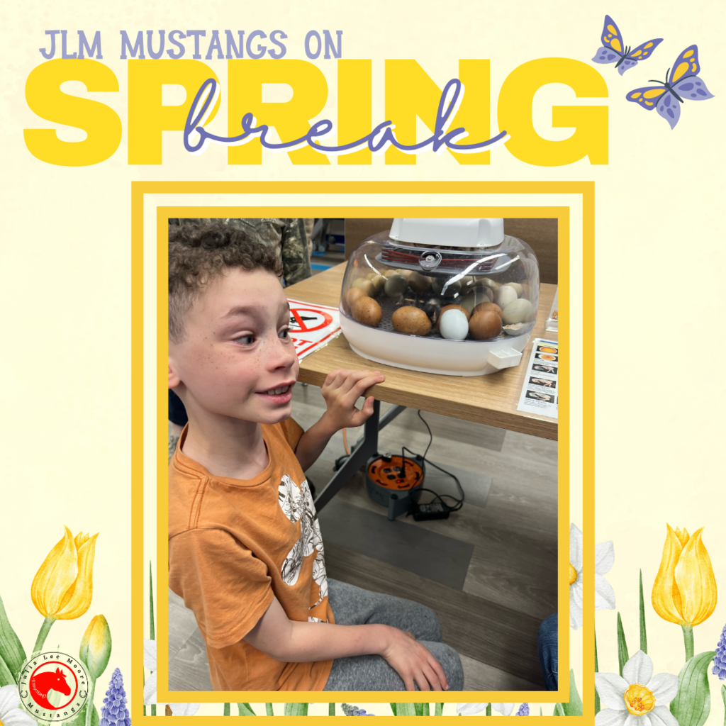 Mustangs on the Move