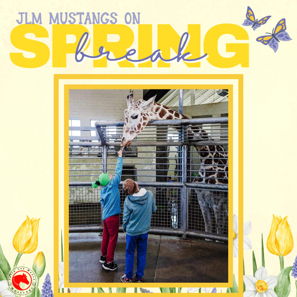 Mustangs on the Move