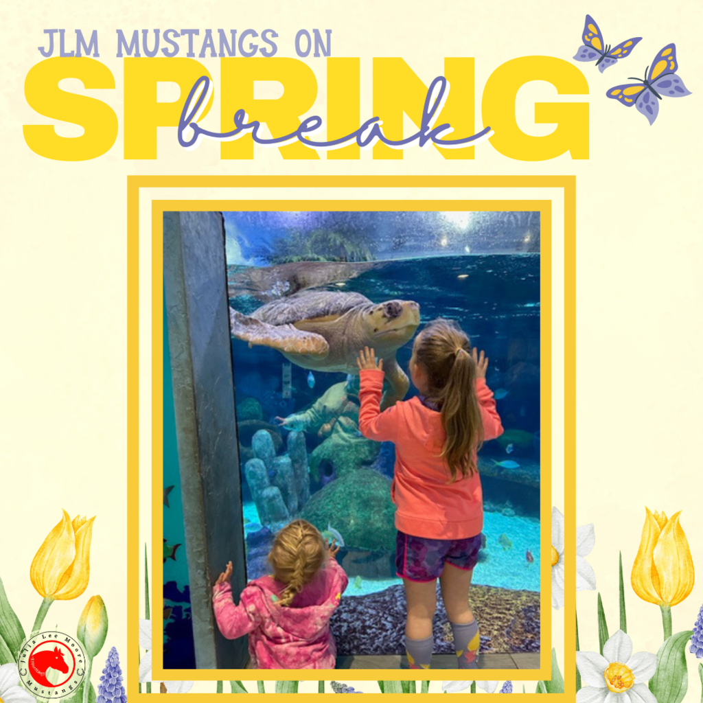 Mustangs on the Move