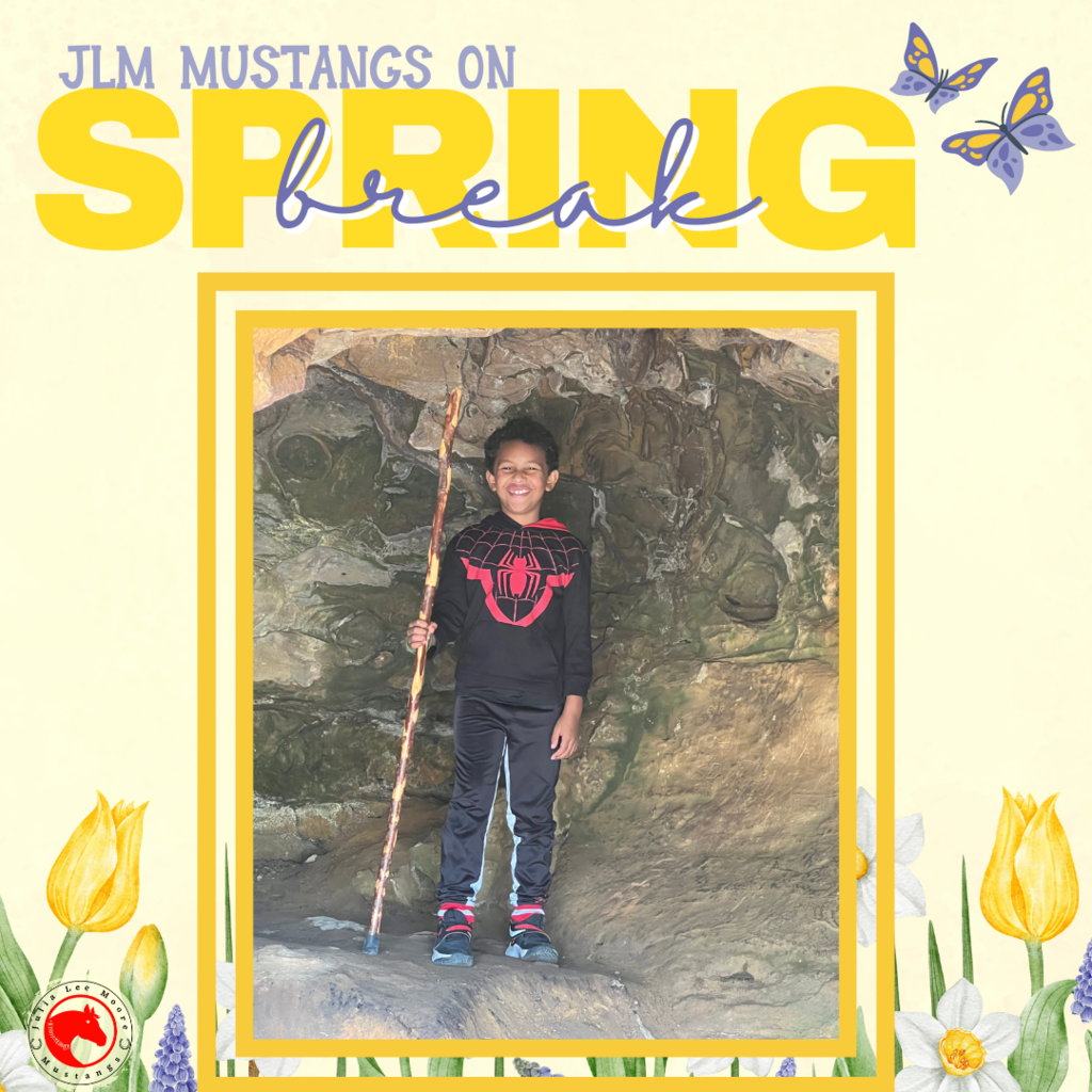 Mustangs on the Move