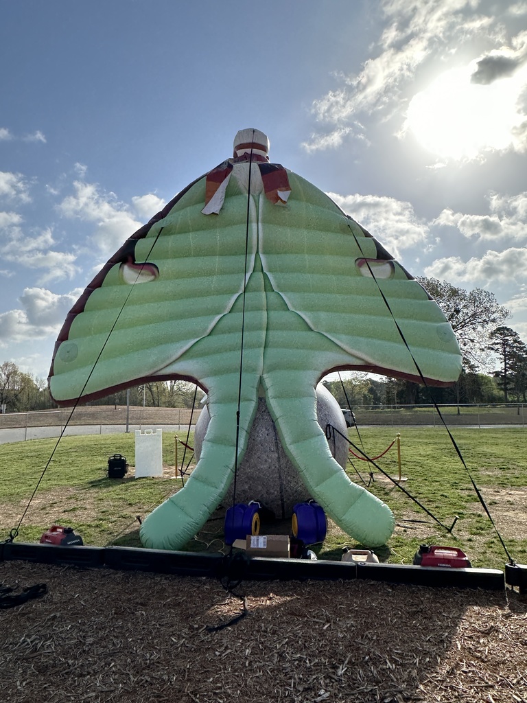 LUNA the solar eclipse hero