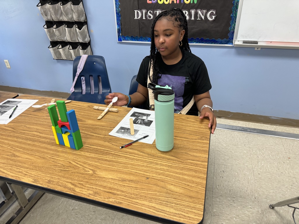 Catapult Building in Social Studies