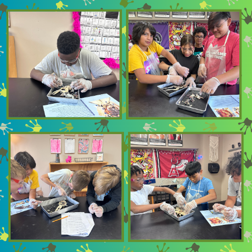 6th Grade Frog Dissection