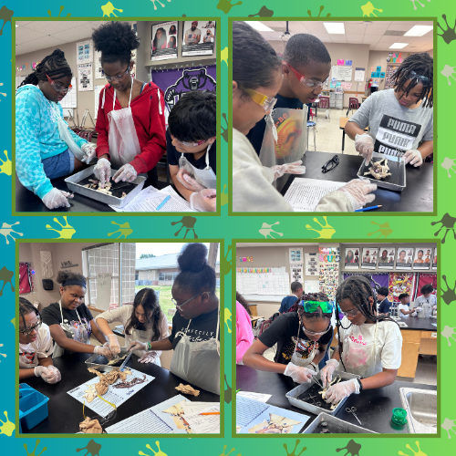 6th Grade Frog Dissection