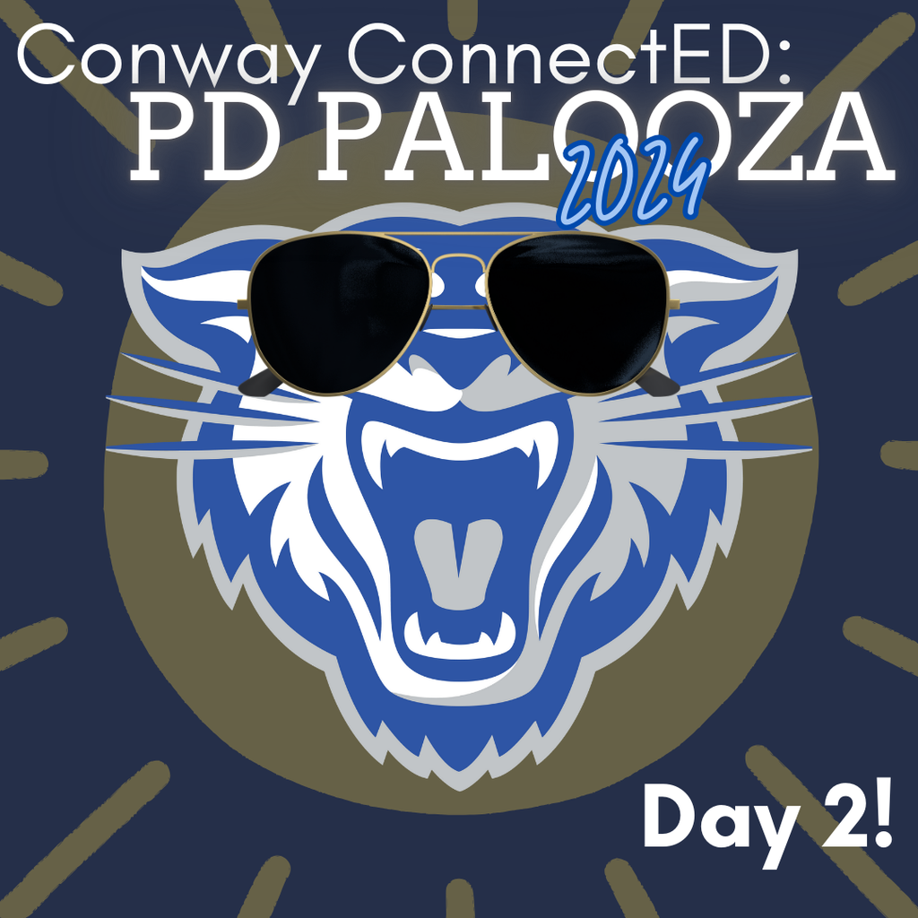 PD Palooza Day 2 Graphic