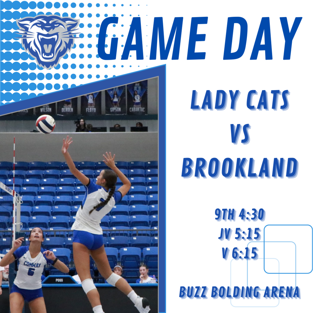 Brookland Game Day VB