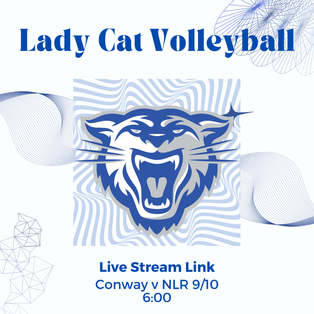 Live Stream NLR