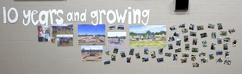 10 years and growing pictures of garden