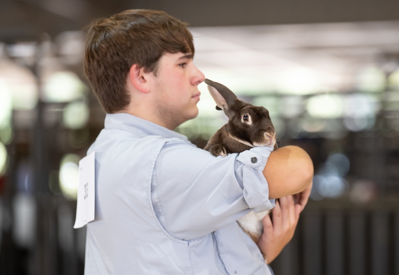 student showing rabbit