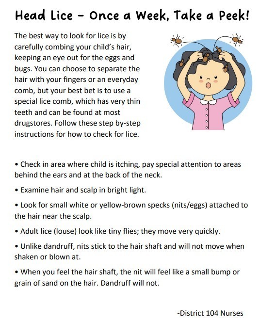 lice flyer