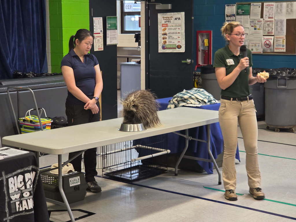 Two people stand by a table with a porcupine in a bowl. One speaks into a microphone, the other observes. The setting is an indoor educational venue.